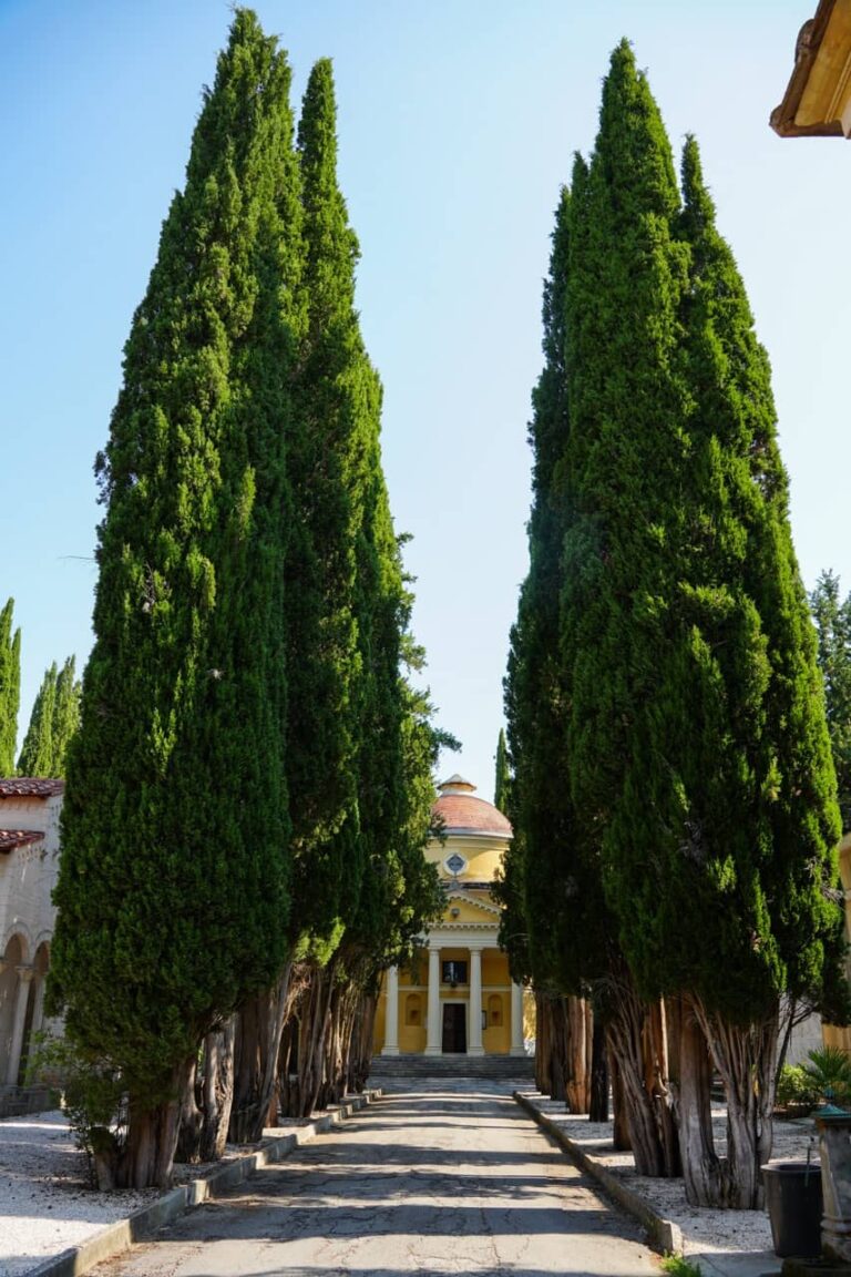 Cimitero 02997 - dimensioni grandi