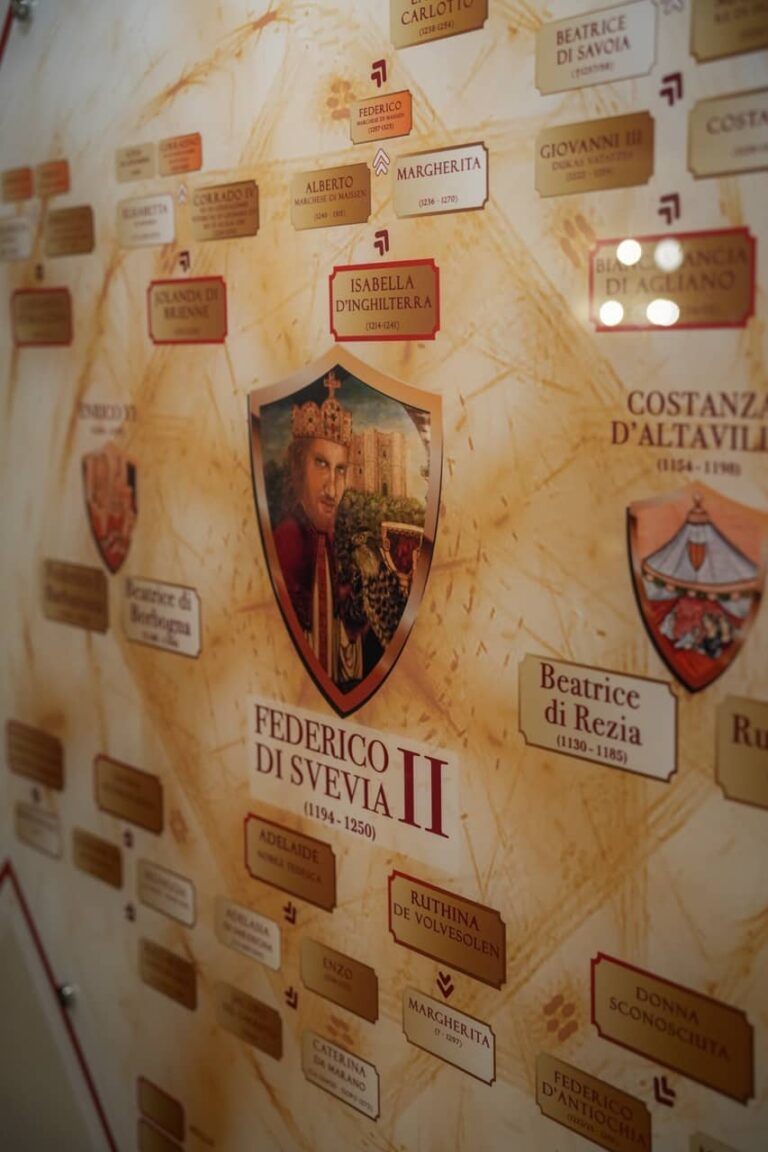 Fondazione Federico II Hohenstaufen 02215 - dimensioni grandi