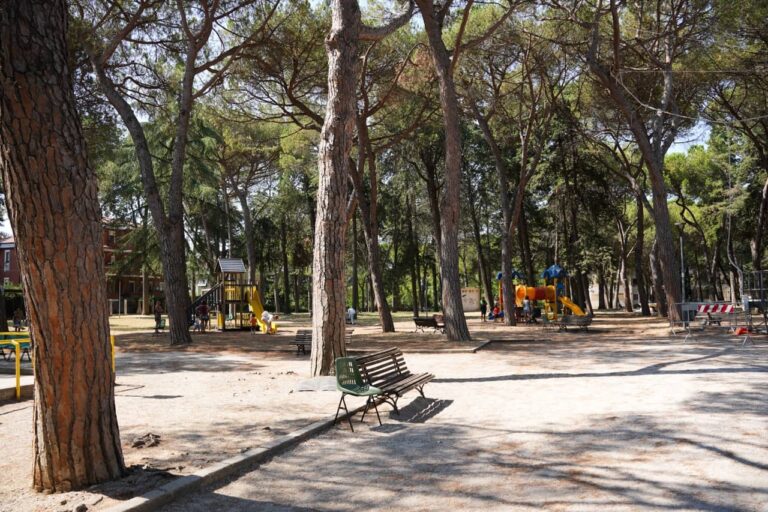 Giardini Pubblici 03051 - dimensioni grandi