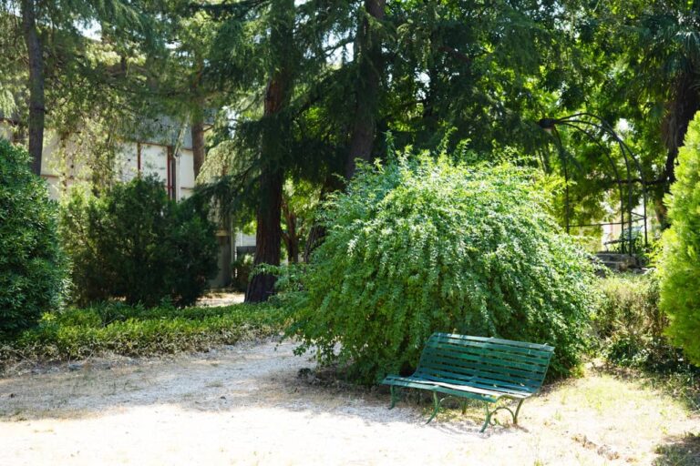 Giardini Pubblici 03068 - dimensioni grandi