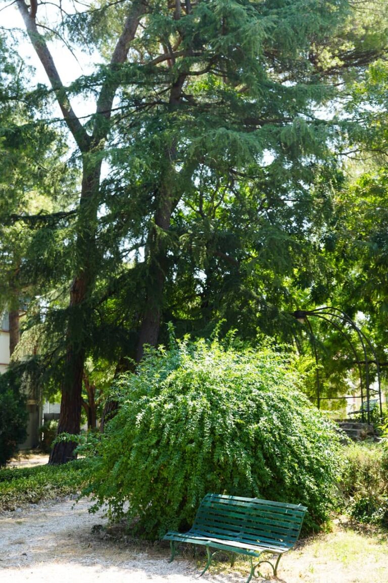 Giardini Pubblici 03069 - dimensioni grandi
