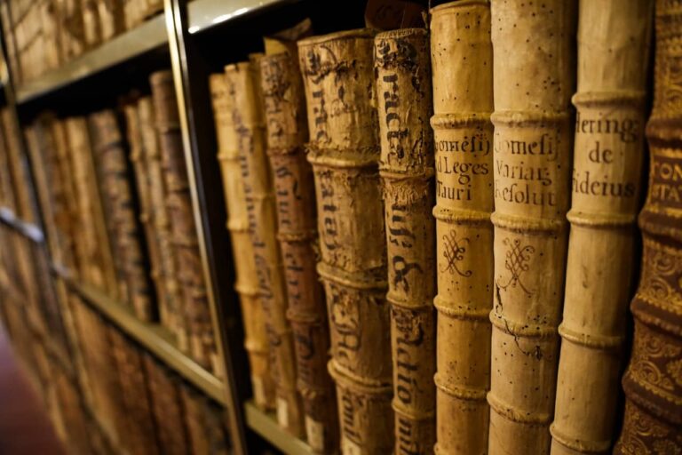 Biblioteca Comunale Planettiana 01915 - dimensioni grandi