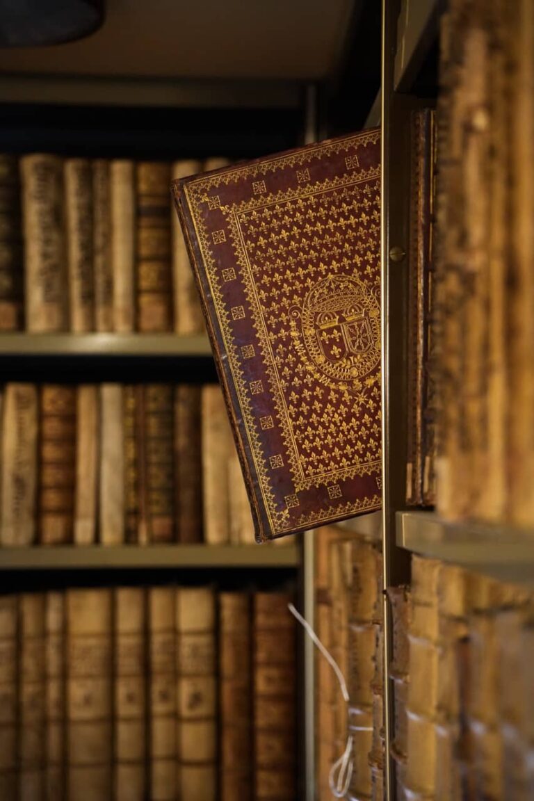 Biblioteca Comunale Planettiana 01919 - dimensioni grandi