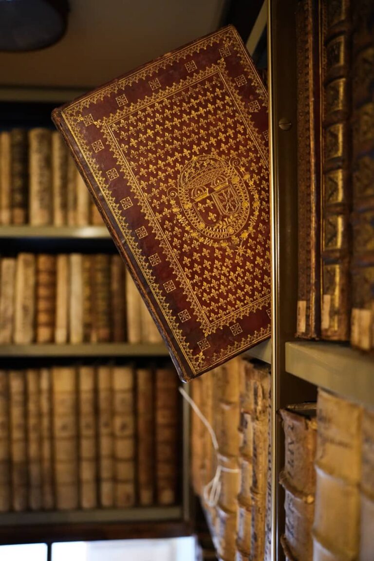 Biblioteca Comunale Planettiana 01923 - dimensioni grandi