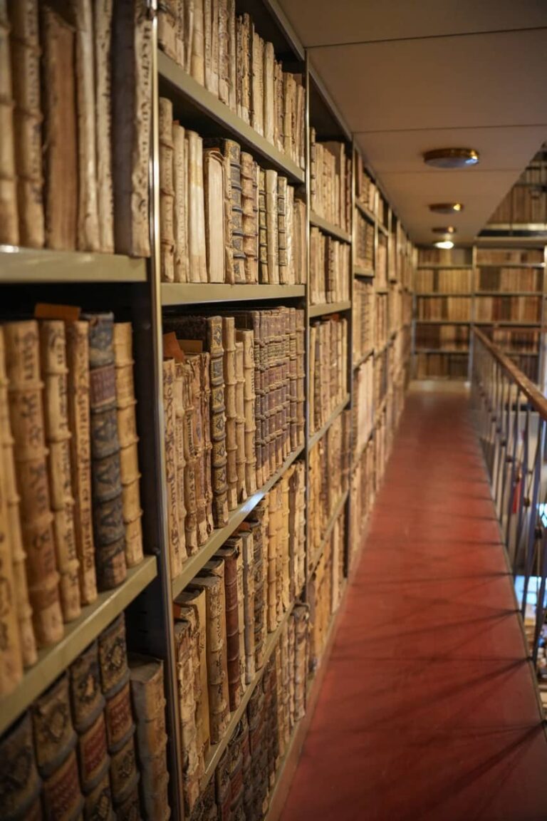 Biblioteca Comunale Planettiana 01926 - dimensioni grandi