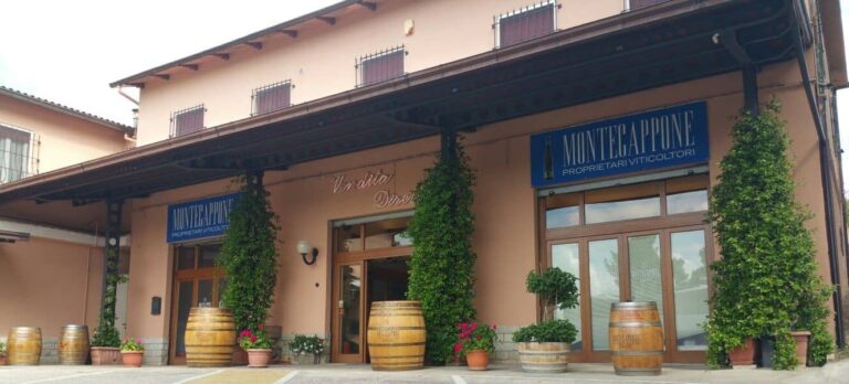PUNTO VENDITA AZIENDALE IMG-20160517-WA0005 - Montecappone